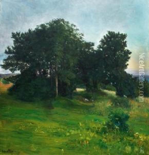 Lovtraer, Aftenlys 1898 Oil Painting - Halfdan Strom