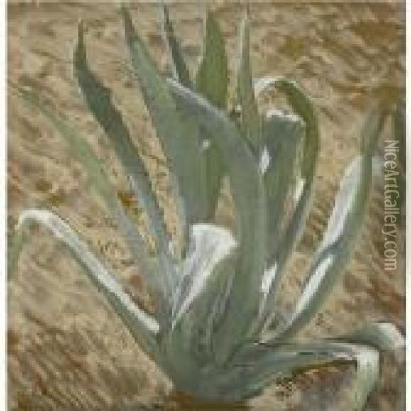 Cactus Plant Oil Painting - William Nicholson