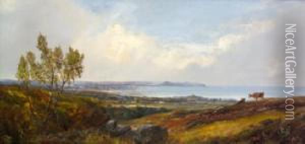 View Of Dublin Bay From Killiney Oil Painting - William McEvoy
