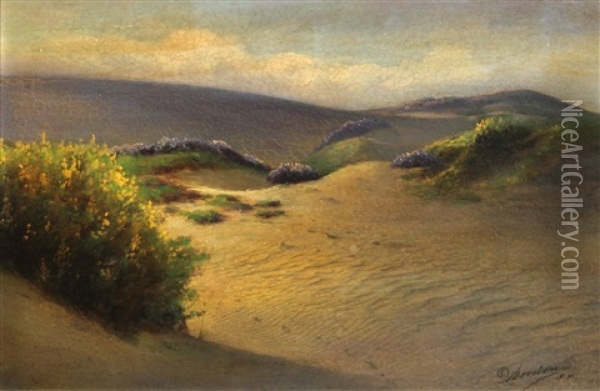 Sand Dunes And Wildflowers Oil Painting - Willard E. Worden
