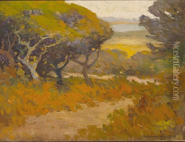 Trees Along A Path Near The Coast Oil Painting - Mary Deneale Morgan