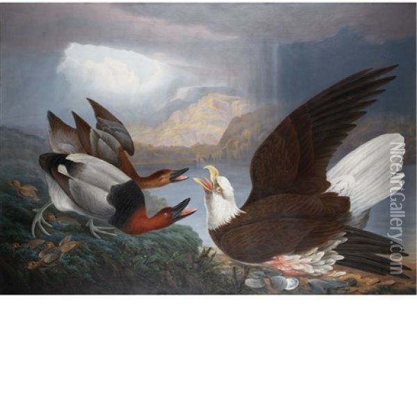 Death Of A Warrior: White Headed Eagle, Canvas Back Duck And Young (the Death Of A Tyrant) Oil Painting - Robert Havell Jr.