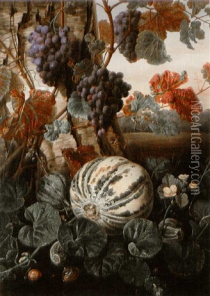 Still Life With Melon, Snails, And Grapes Oil Painting - Johannes Ludwig Camradt