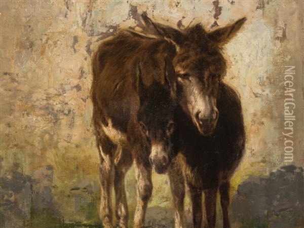 Donkey Oil Painting - Stefano Bruzzi