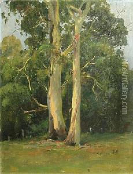 Summertime Trees Oil Painting - Charles F. Mudie