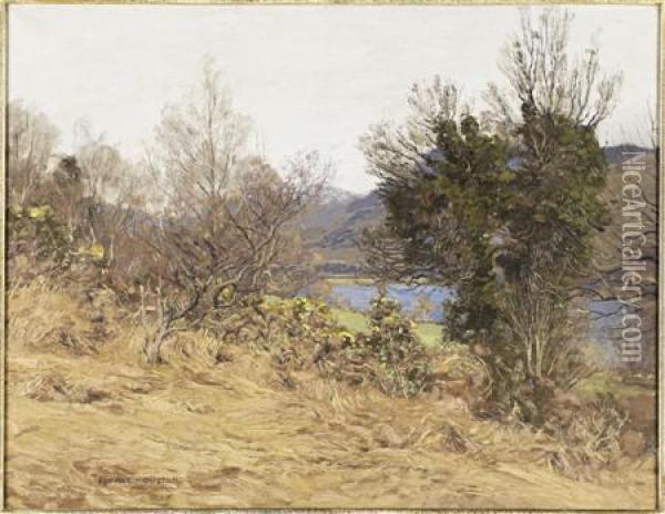 A Glimpse Of The Loch Oil Painting - George Houston
