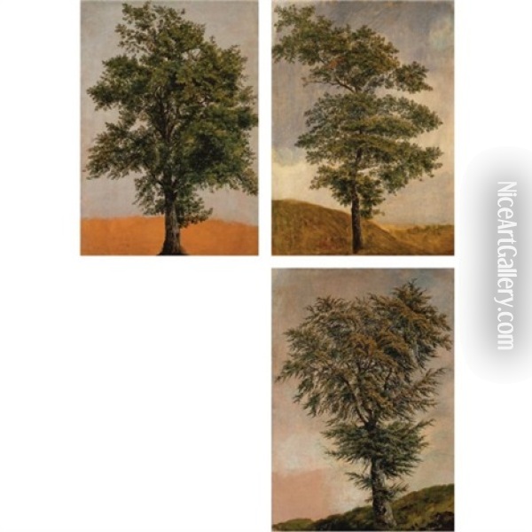 Studies Of Trees (various Sizes; Set Of 3) Oil Painting - Achille Etna Michallon