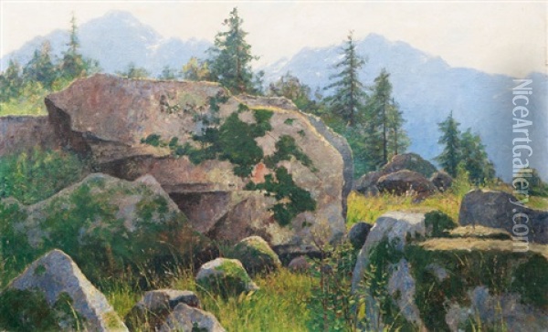 Felsen Bei Umhausen In Tirol Oil Painting - Carl Arp