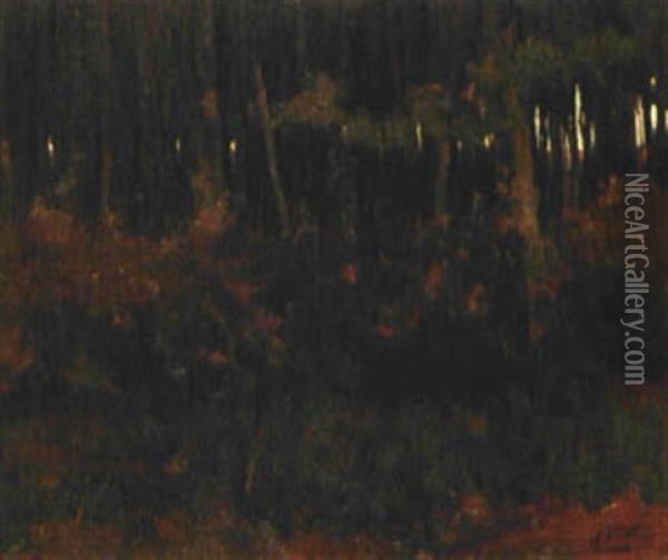 Dichter Wald Im Herbst Oil Painting - Willem Arnoldus Witsen