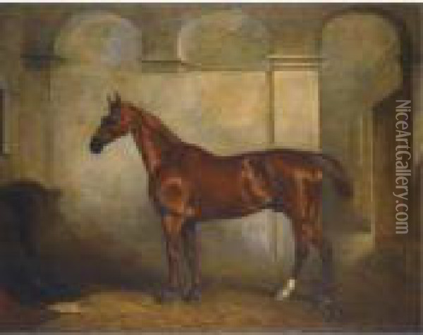 A Chestnut Horse In A Stable Oil Painting - John Snr Ferneley
