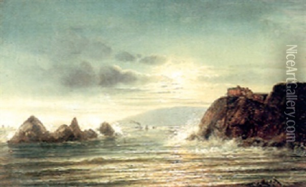 View Of The Cliff House, San Francisco Oil Painting - Ferdinand Richardt