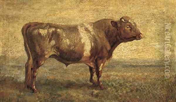 A bull in pasture Oil Painting - English School