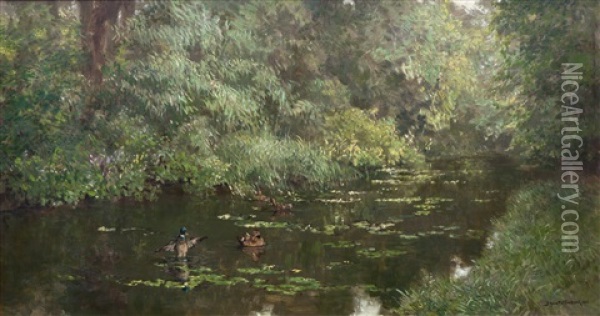 Landscape With Ducks In A Pound Oil Painting - Johan Hendrik van Mastenbroek