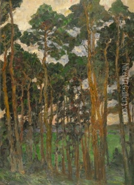 Am Waldesrand. Blick Durch Kiefern Auf Eine Nahe Flusaue Oil Painting - August Von Brandis