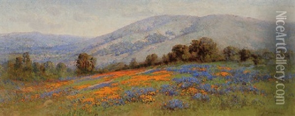 California Poppies Oil Painting - William Franklin Jackson