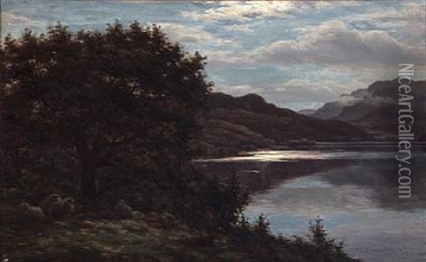 Sheeps Under A Tree By A Loch In Scotland Oil Painting - John James Bannatyne