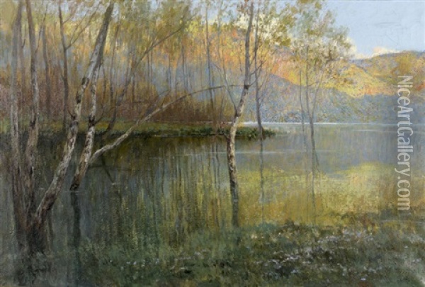 Uferlandschaft Im Morgenlicht Oil Painting - Gioacchino Galbusera
