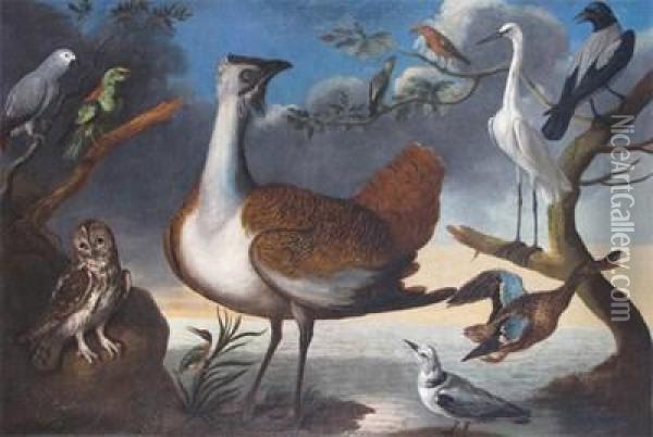 A Grey Parrot, A Green Woodpecker, A Tawny Owl, A Kingfisher, A Great Bustard, A Male And Female Crossbill, A Kittywake, A Shoveller Duck, A Great White Egret And A Hooded Crow Oil Painting - Francis Barlow