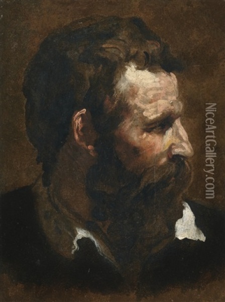Head Of A Bearded Man Seen In Profile Oil Painting - Domenico Beccafumi