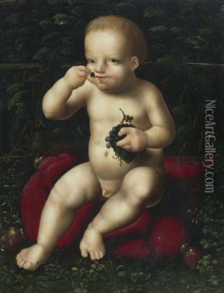 The Infant Jesus With Grapes. Circa 1525-30. Oil Painting - Joos Van Cleve