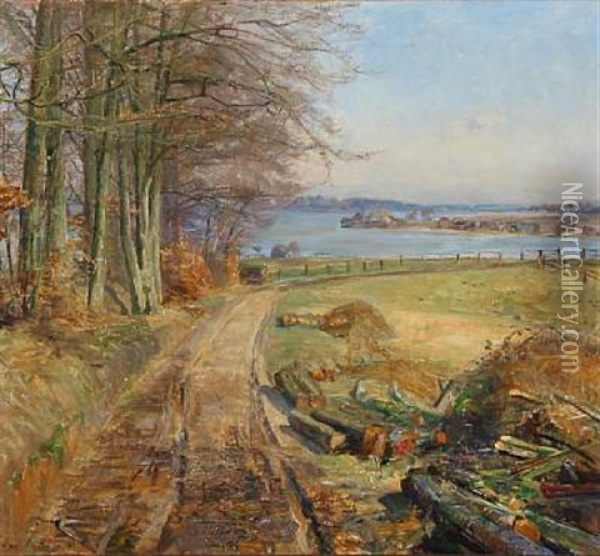 View From Sjaelso In Birkerod, Denmark Oil Painting - Aage Bertelsen