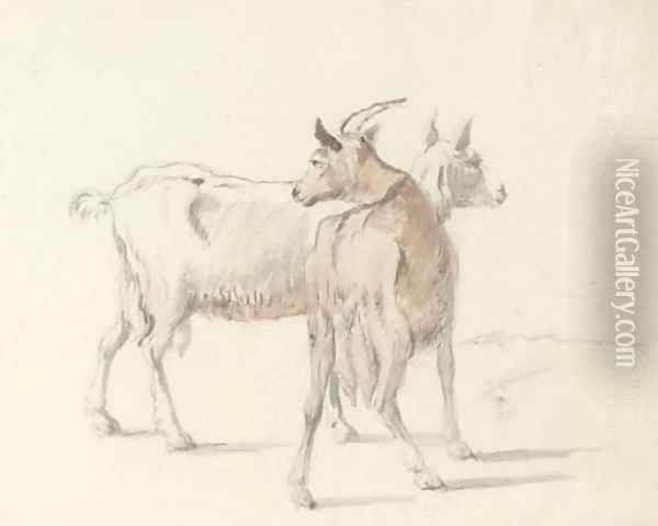 Study of goats Oil Painting - Coplestone Warre Bampfylde