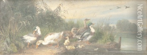 Les Canards Oil Painting - Julius Scheuerer