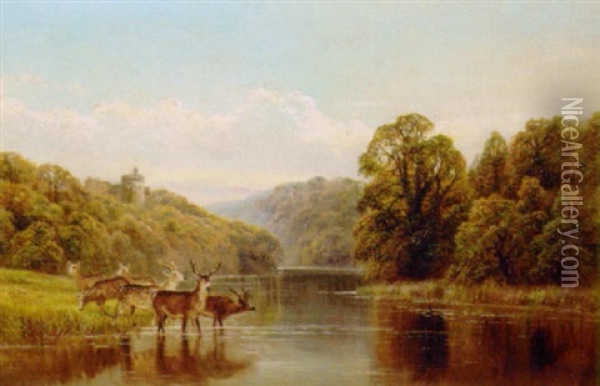 Tortworth Lake, Gloucestershire Oil Painting - William Vivian Tippet
