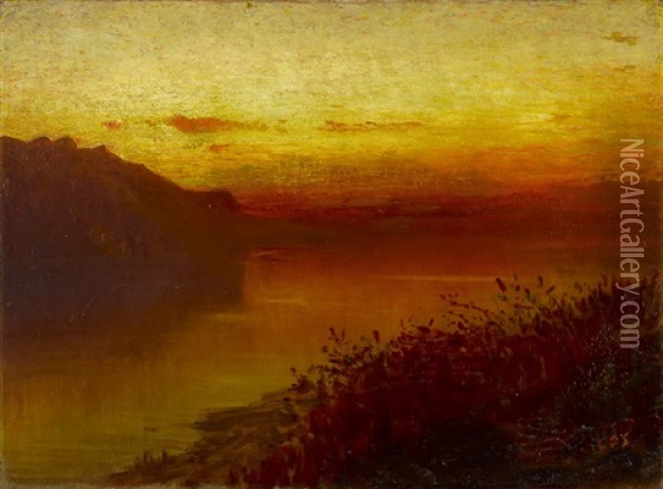 Ansicht Des Genfersees Bei Untergehender Sonne Oil Painting - Albert Henri John Gos