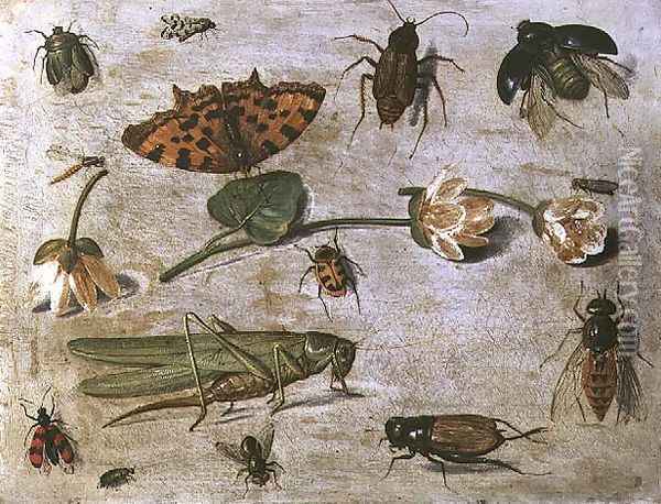 Insects 3 Oil Painting - Jan van Kessel