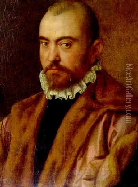 Bildnis Eines Mannes Oil Painting - Francesco del Rossi (Salviati)