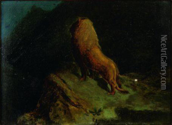 Un Lion Dans La Montagne. Oil Painting - Gustave Dore