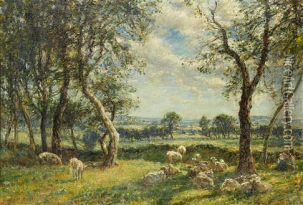 Sheep Resting Beneath The Shade Of A Tree Oil Painting - Mark William Fisher
