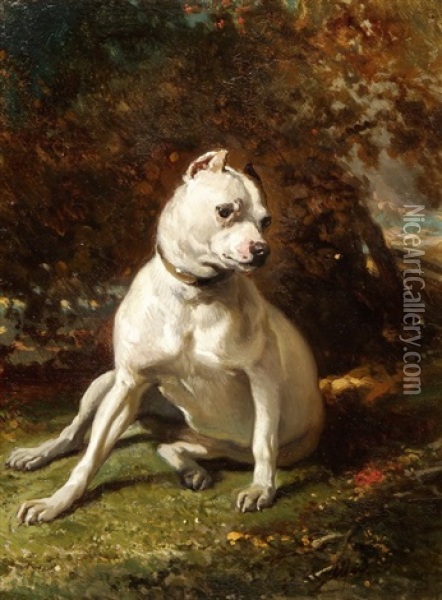 Kleine Bulldogge Oil Painting - Alfred De Dreux