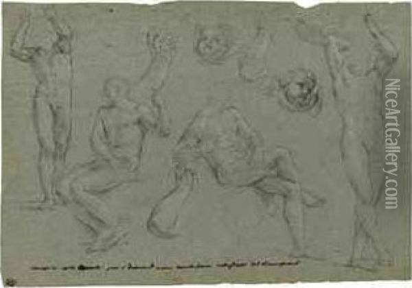 Studies Of Seated And Standing 
Male Nudes, With Subsidiary Studiesof Forearms And Cherubs' Heads Oil Painting - Carlo Maratta or Maratti