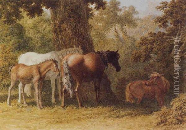 Ponies In A Woodland (#) Deer In A Woodland Oil Painting - Robert Hills