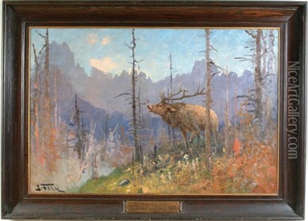 Bellowing Elk Oil Painting - John Fery