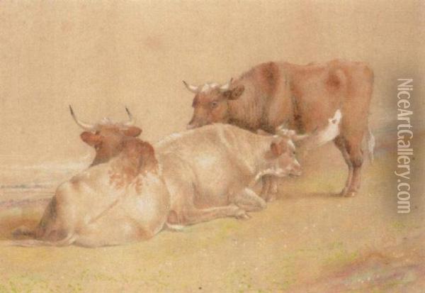 Cattle Oil Painting - William Huggins