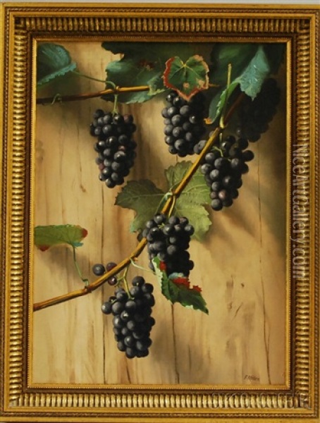 Still Life With Concord Grapes Oil Painting - Franklin Harrison Miller