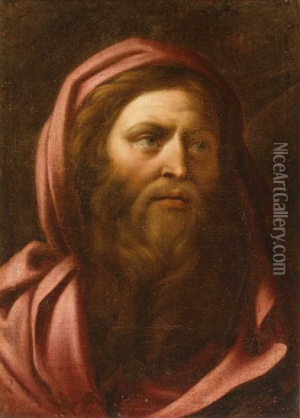 Von Alter Hand. Portrait Eines Bartigen Mannes Mit Rotem Umhang Oil Painting - Bartolomeo Schedoni
