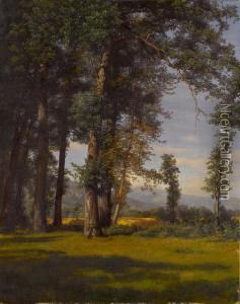 Sommerlandschaft - Eichwaldlichtung Oil Painting - Robert Zund