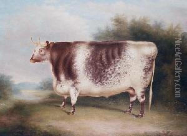 A Shorthorn Bull In An Open Landscape Oil Painting - Henry Strafford