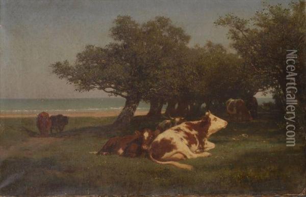 Cattle Grazing Near The Coast Oil Painting - Auguste Bonheur