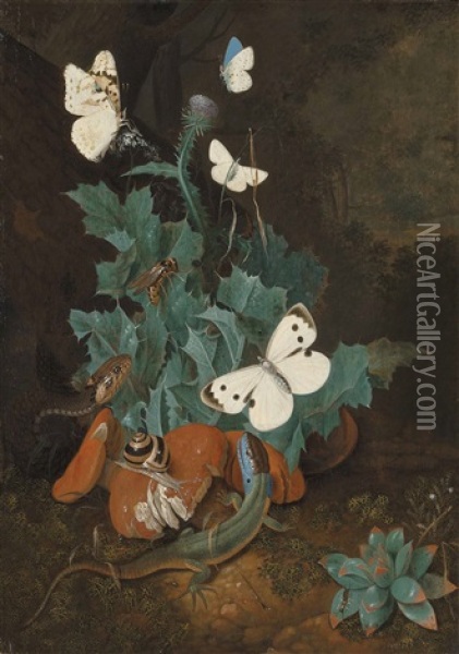 A Forest Floor With A Lizard, A Snake And A Snail Among Weeds Oil Painting - Johann Falch