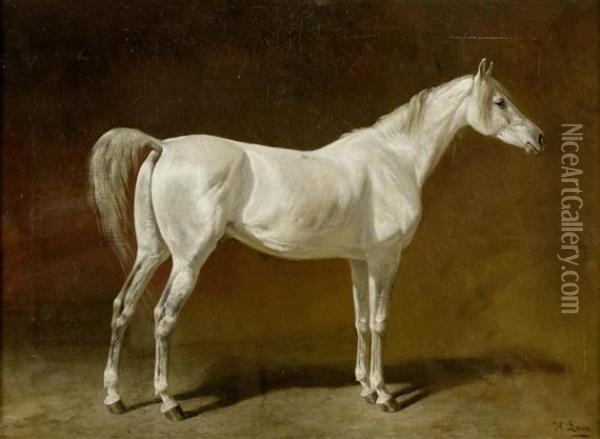 A White Horse Oil Painting - H.F. Lang