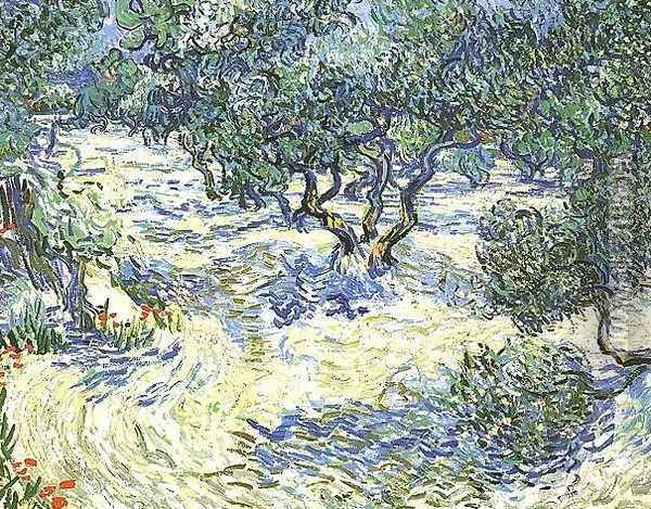 Olive Grove Oil Painting - Vincent Van Gogh