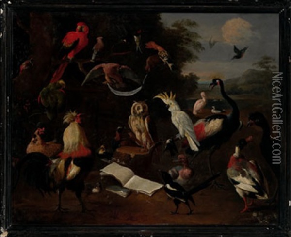 Concietyo De Aves Oil Painting - Melchior de Hondecoeter