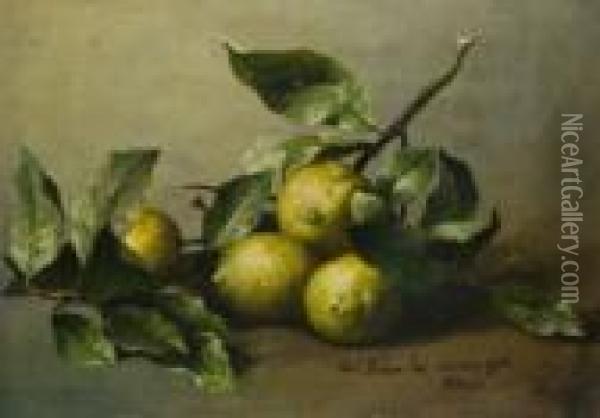 Stilleben Mit Zitrusfruchten Oil Painting - Pal Bohm