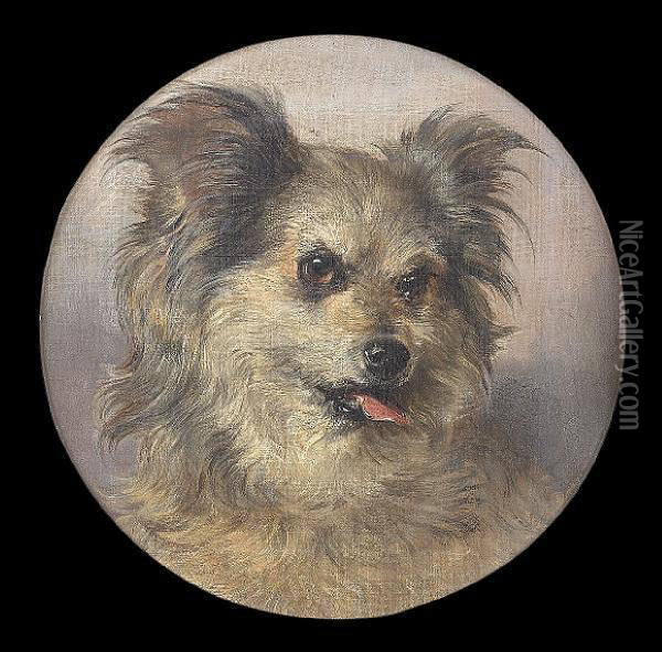 A Rough-coated Terrier Oil Painting - George Earl