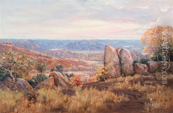 View Over The Matopos Oil Painting - Pieter Hugo Naude